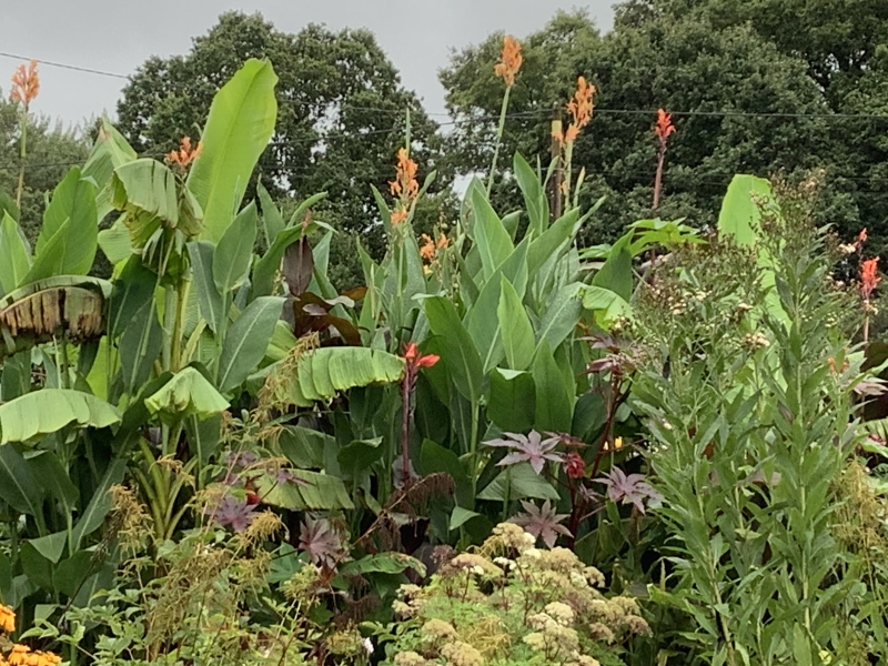 Bleak Hill Nursery & Garden